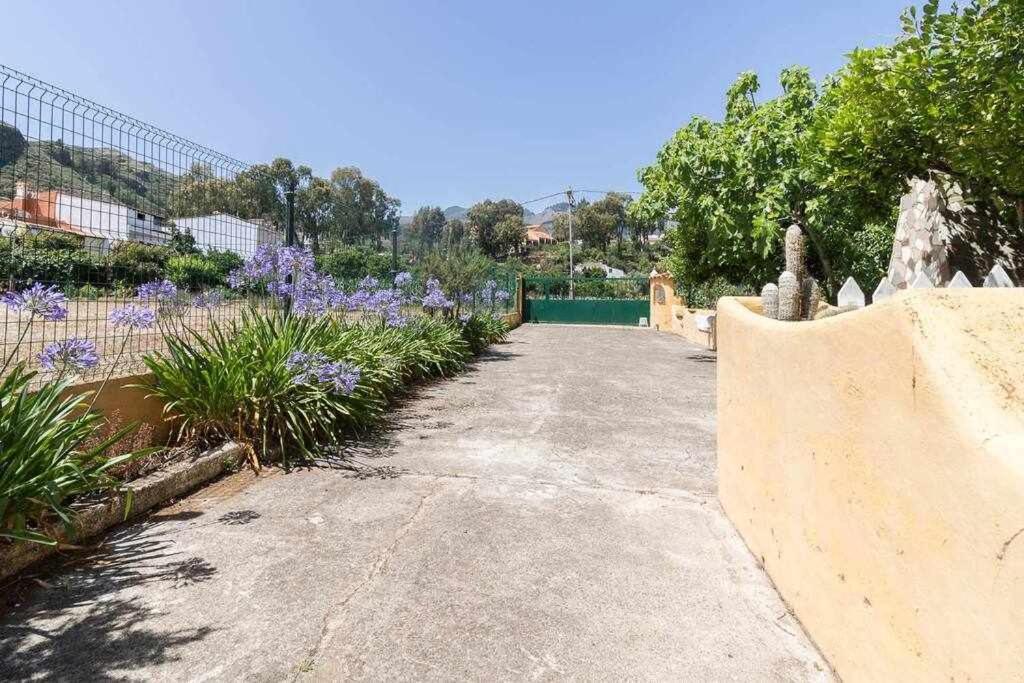 Villa Ojuelos Gran Canaria Vega de San Mateo Exteriér fotografie