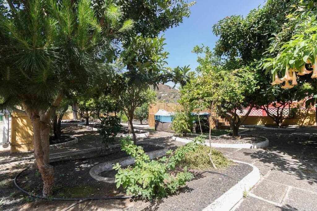Villa Ojuelos Gran Canaria Vega de San Mateo Exteriér fotografie